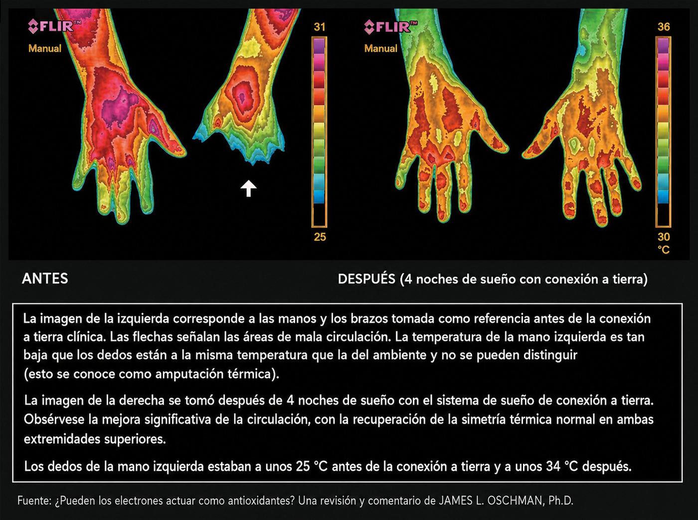 Estudio visual de EquilibrioTierra